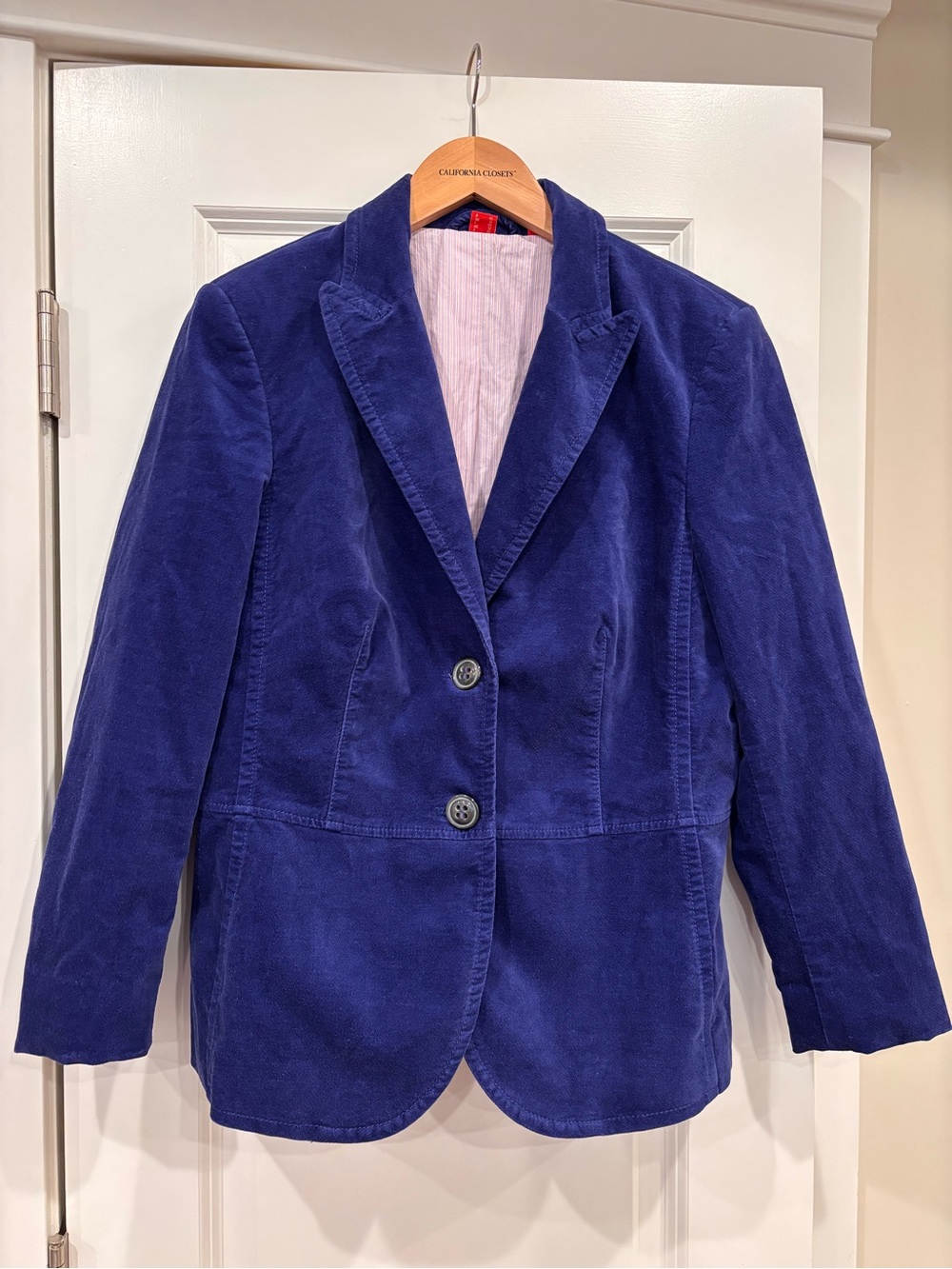 Vintage Royal Blue Velvet Blazer
